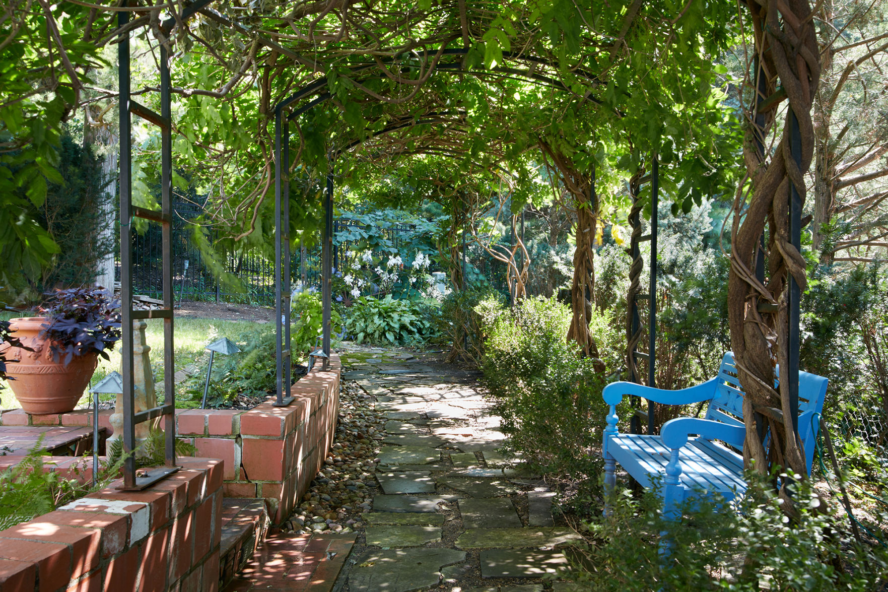 wisteria walkway